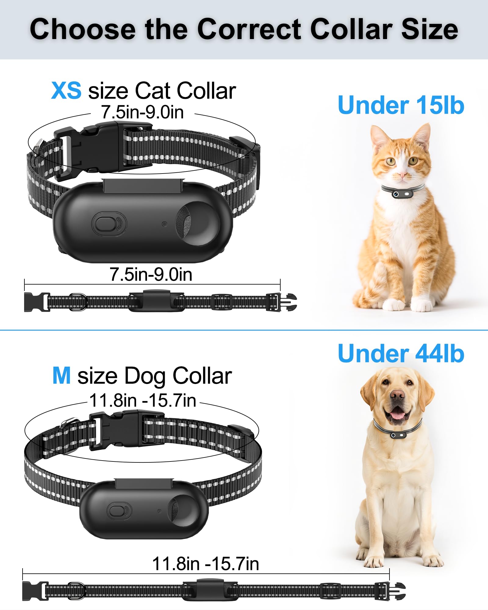 ZoomaraKam soft nylon strap provides daily wear with a secure camera holder.