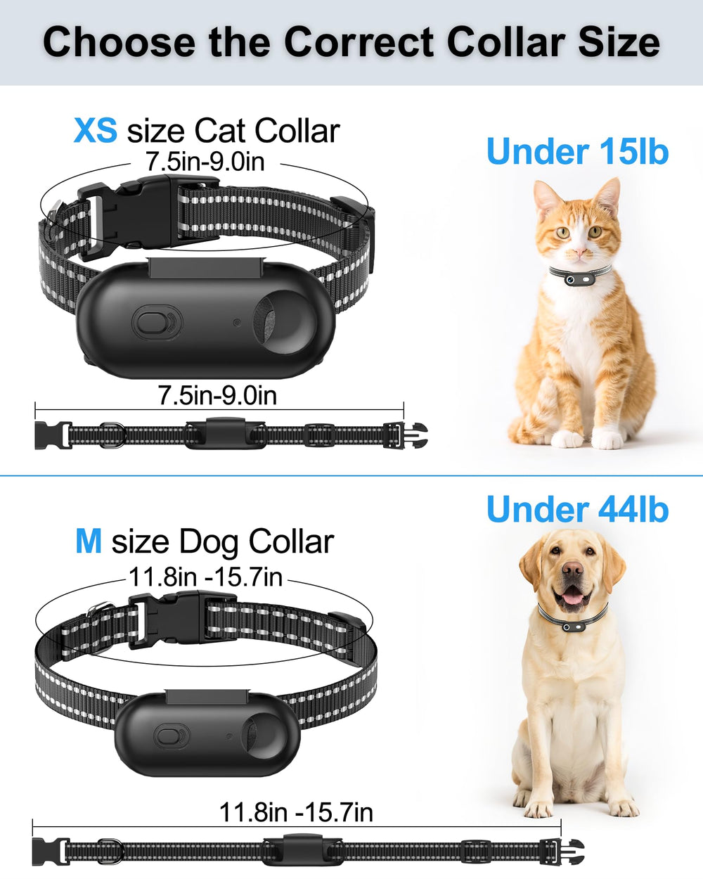 ZoomaraKam soft nylon strap provides daily wear with a secure camera holder.
