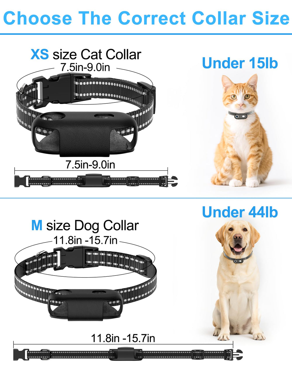 ZoomaraKam camera collar-size-m-fit indicates medium collar suitable for dogs and large cats.