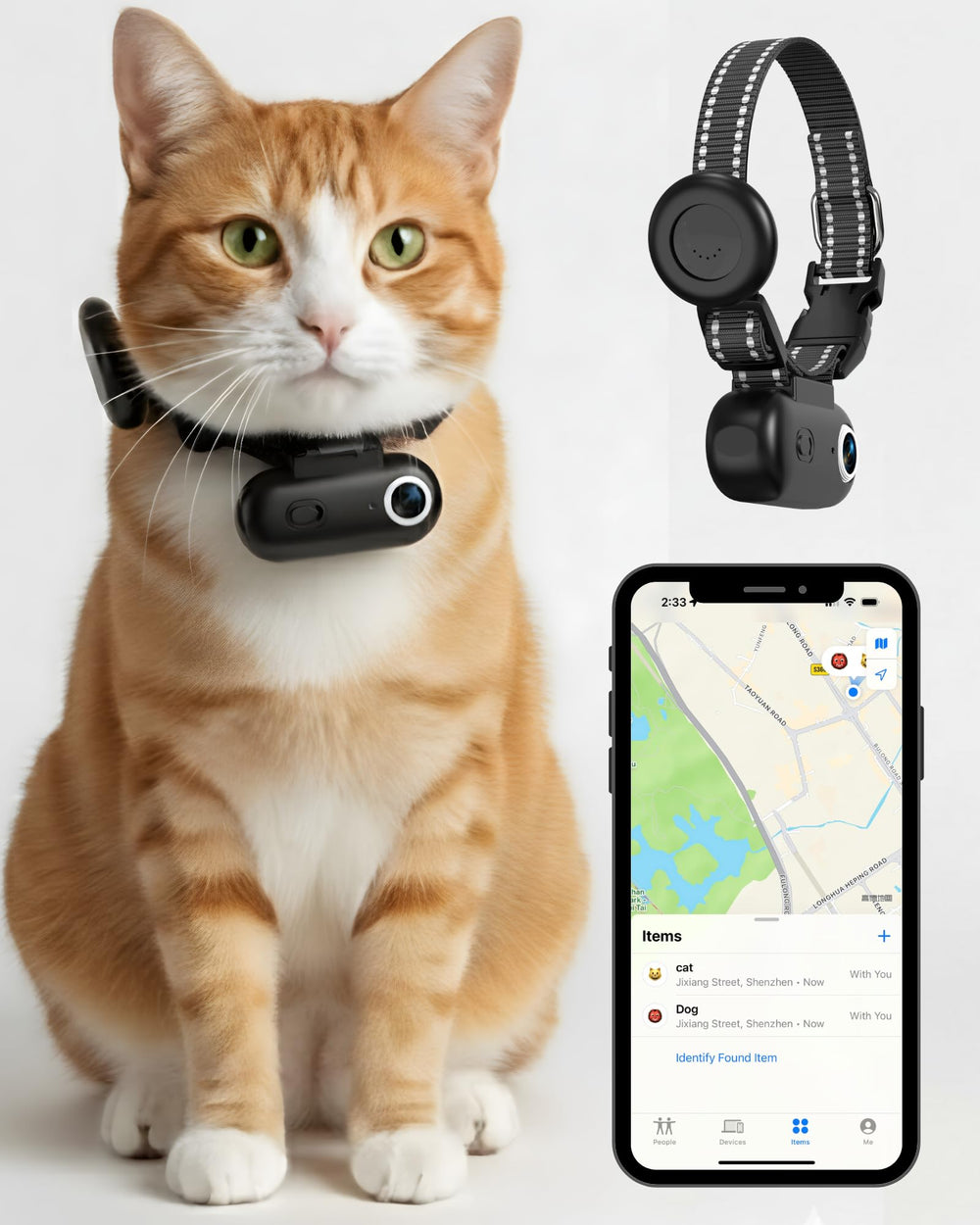 ZoomaraKam cat camera collar 1080p records adventures without app