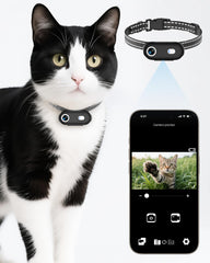 ZoomaraKam cat-collar-camera worn by pet for real-time view