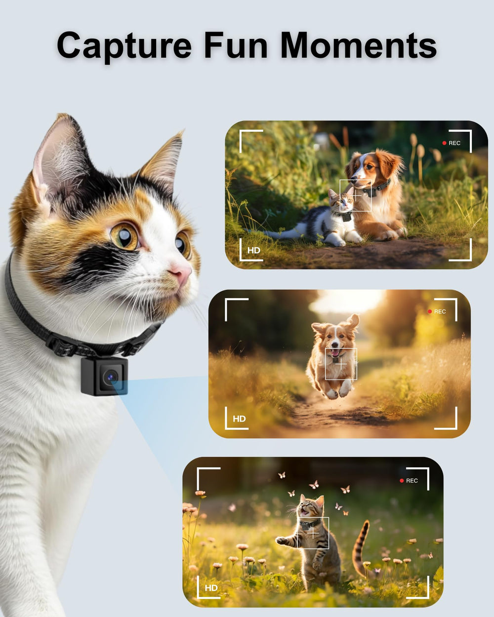 ZoomaraKam POV cat view showcases your pet's perspective.