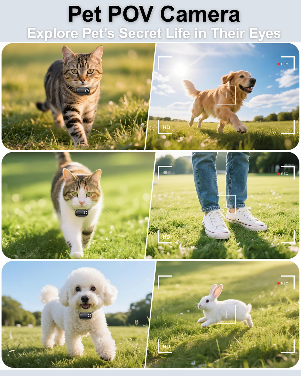 ZoomaraKam tracker inside silicone holder helps locate your pet