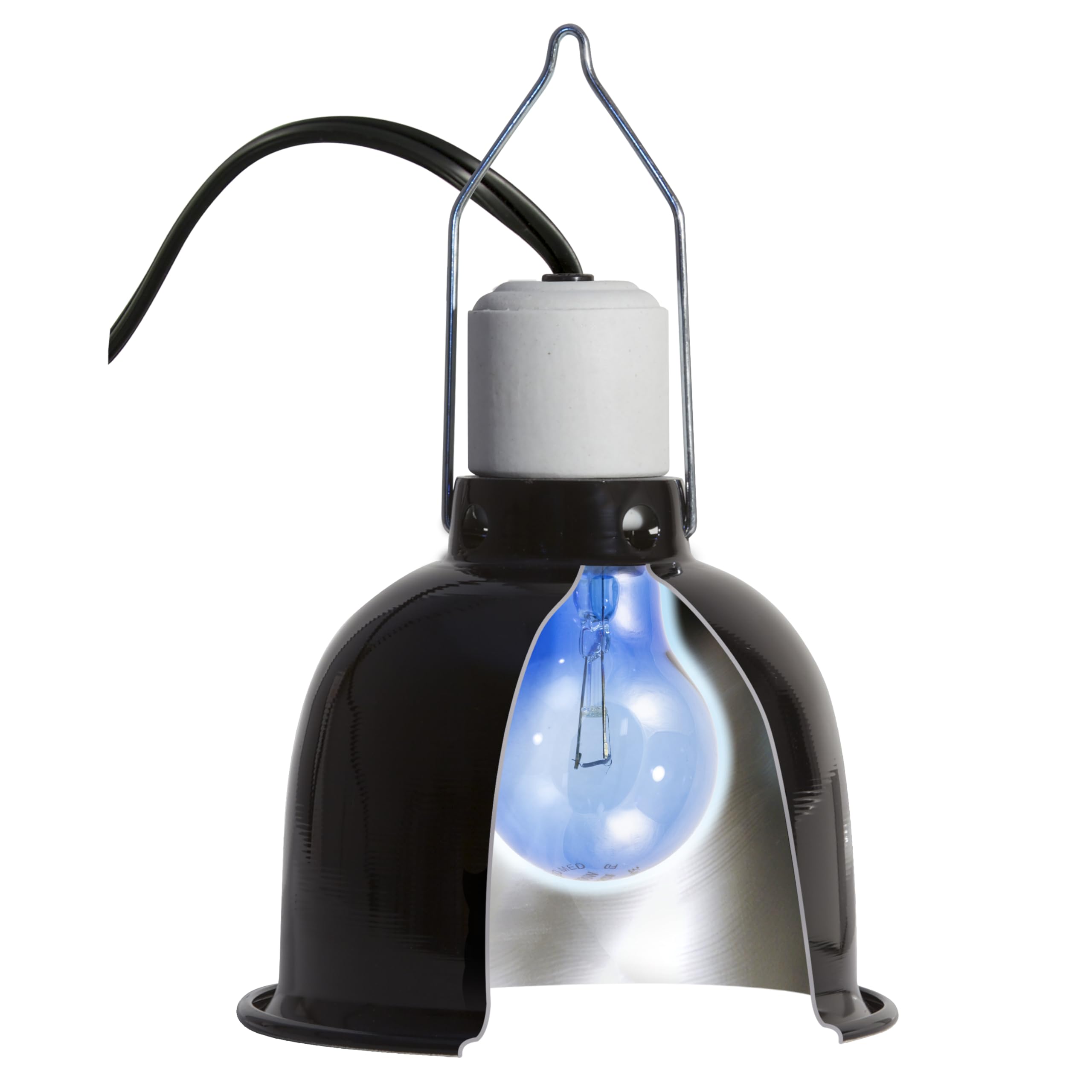 Zoo Med basking-friendly blue light shows warmth support and visual access to terrarium inhabitants.