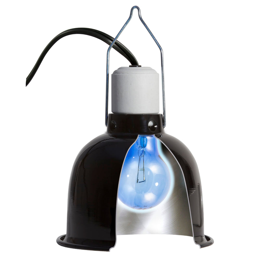 Zoo Med basking-friendly blue light shows warmth support and visual access to terrarium inhabitants.
