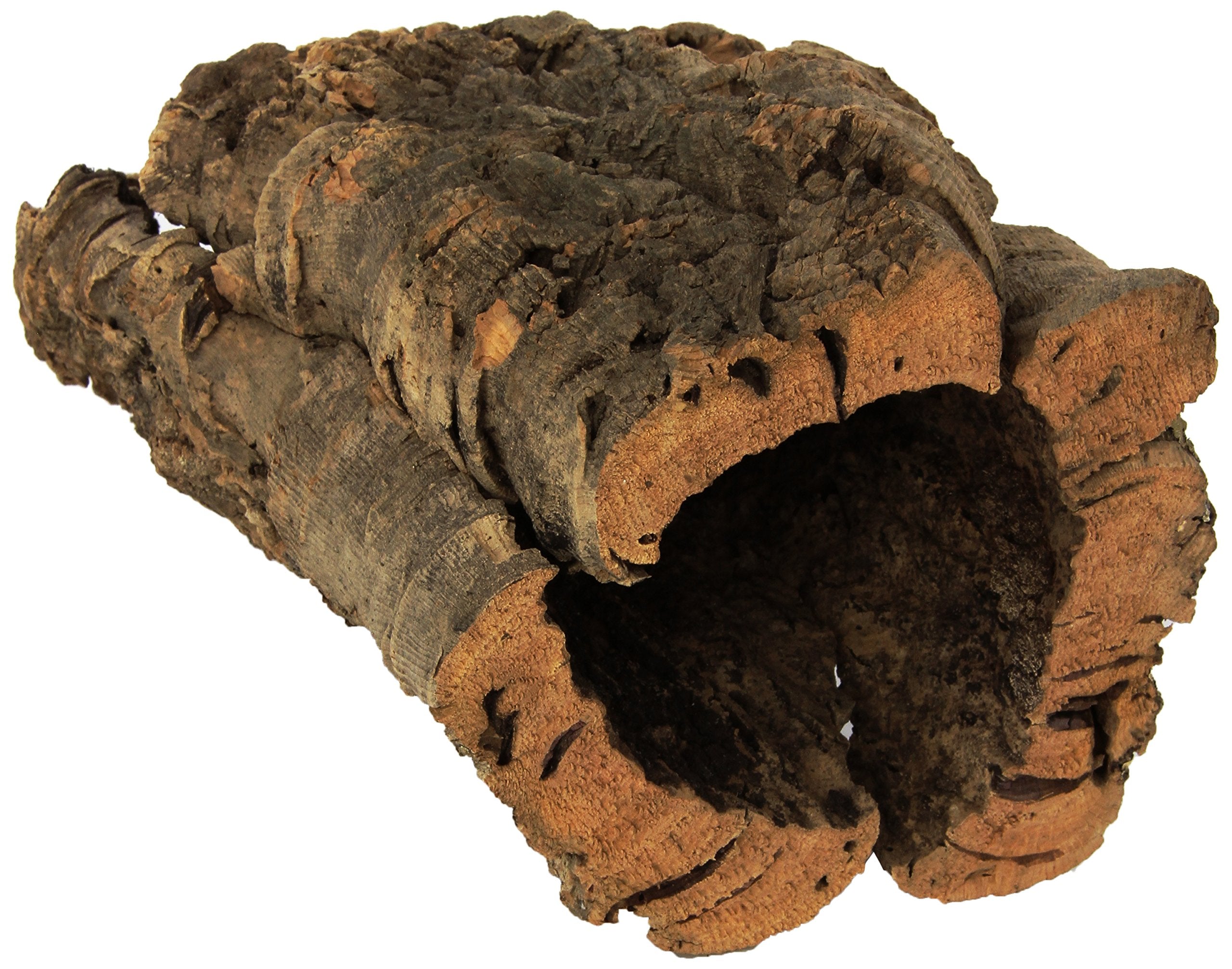 Zoo Med natural cork bark round extra large full bark shown as substantial shelter for terrarium use
