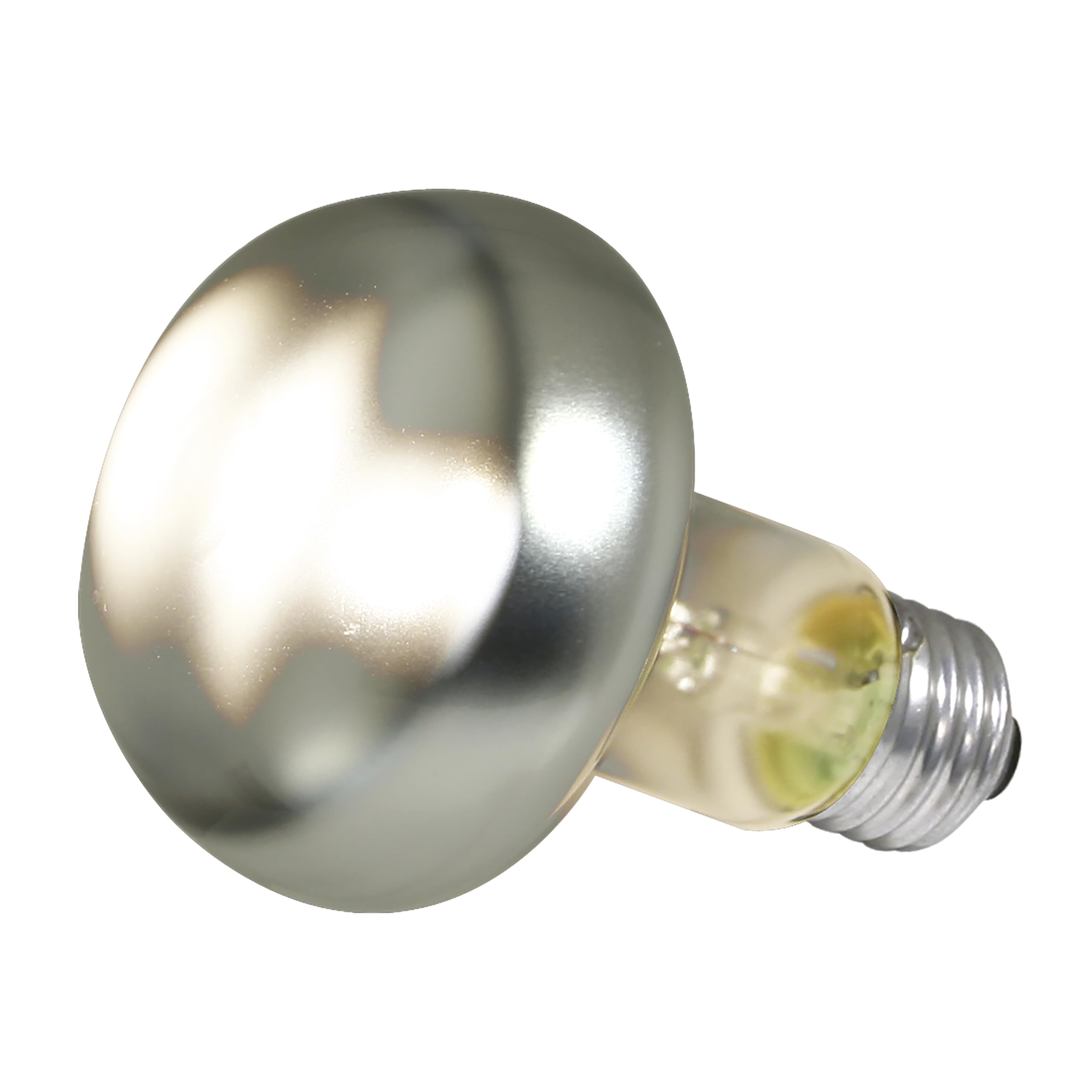 Zoo Med Repti Basking Spot Lamps 100W in terrarium demonstrate defined basking spot
