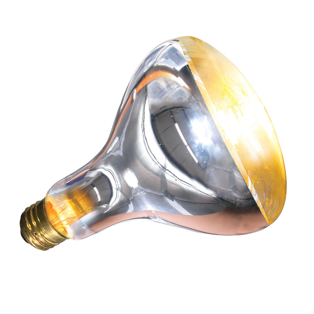 Zoo Med 250W lamp suited for desert enclosure heat zones