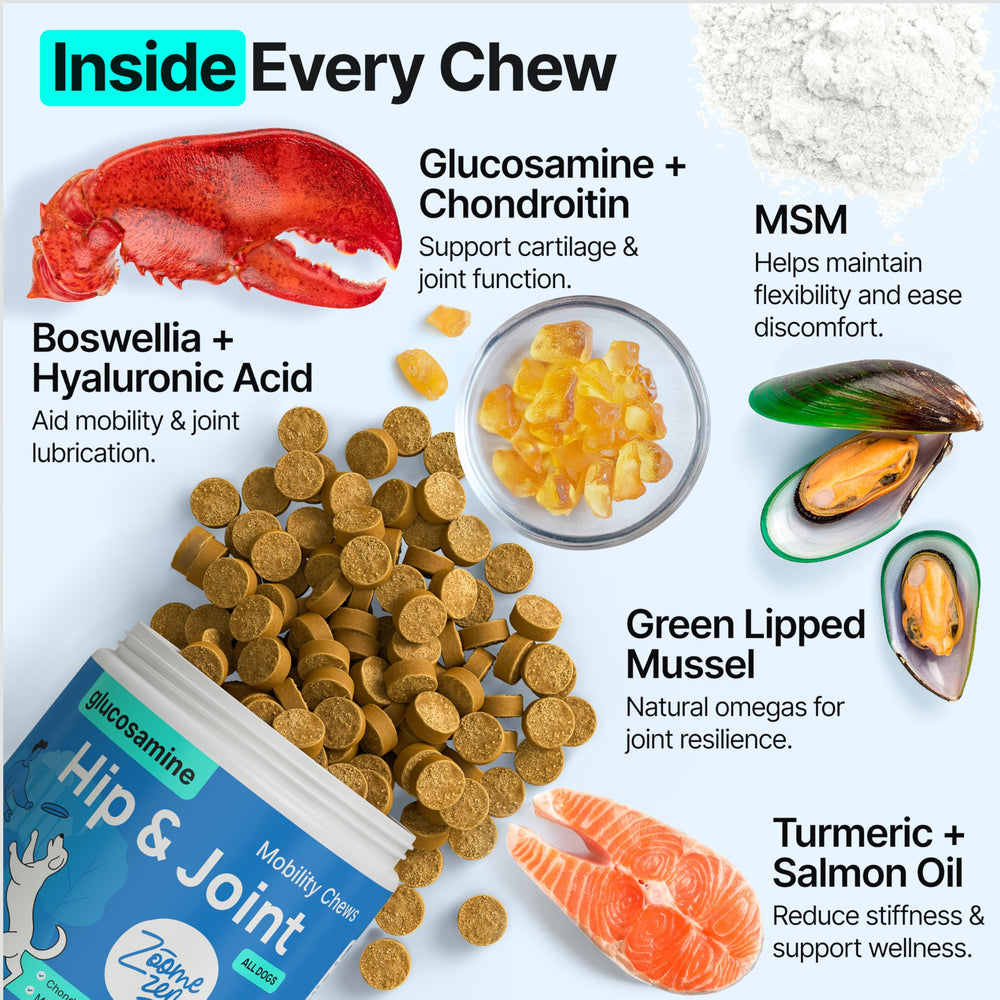 ZOOMEZEN chicken-flavor dog chews preview illustrates easy daily joint support.