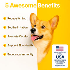 Zoomezen Dog Allergy Chews bottle closeup highlights omega-3 and probiotic ingredients.