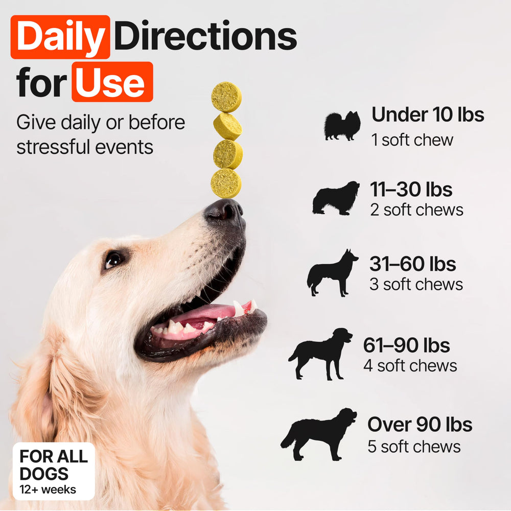 Zoomezen Dog Allergy Chews being offered to a dog for paw licking relief.