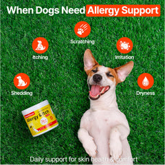 Zoomezen Dog Allergy Chews ingredients label shows colostrum and quercetin blend.