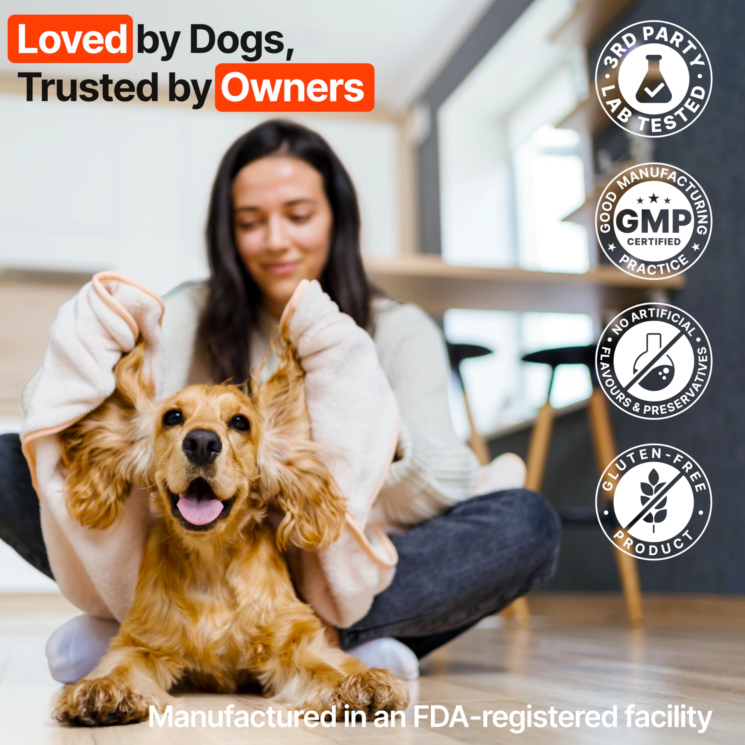 Zoomezen Dog Allergy Chews in a hand, tasty daily treat.