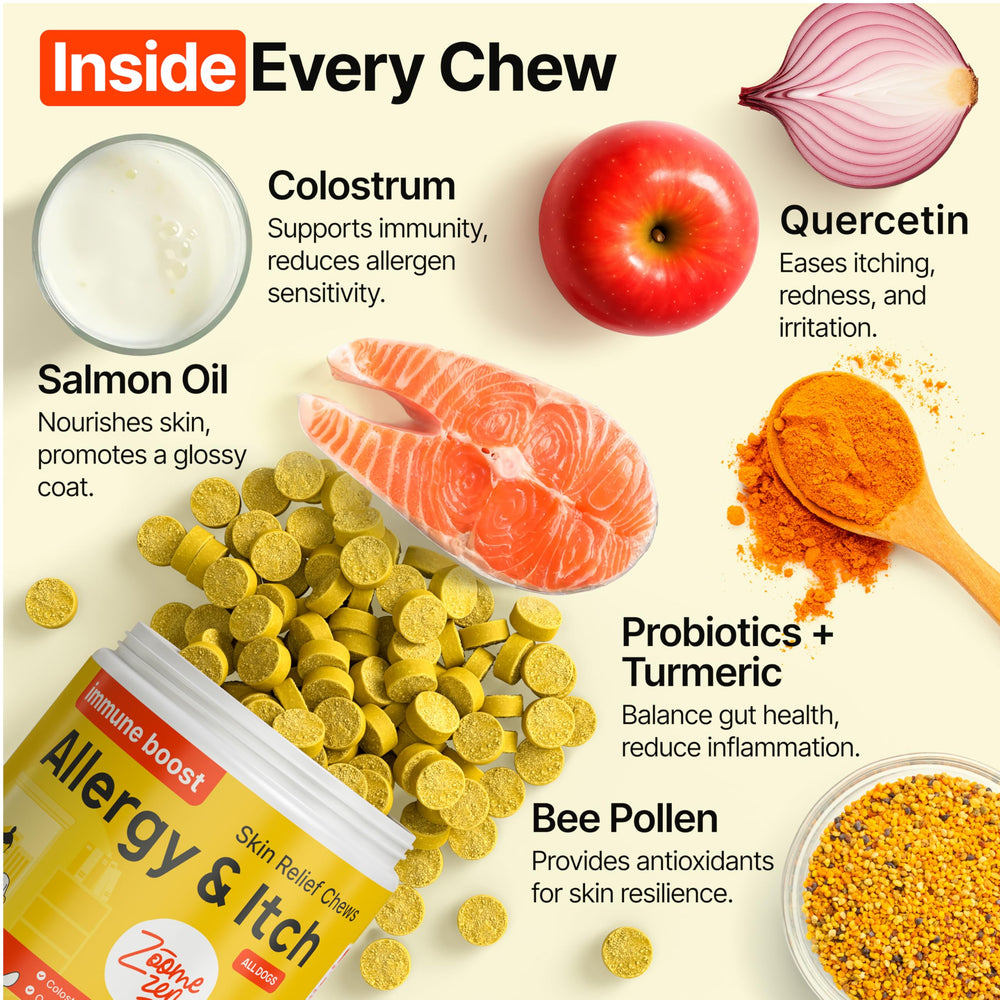 Zoomezen Dog Allergy Chews soft texture makes feeding easy for dogs.