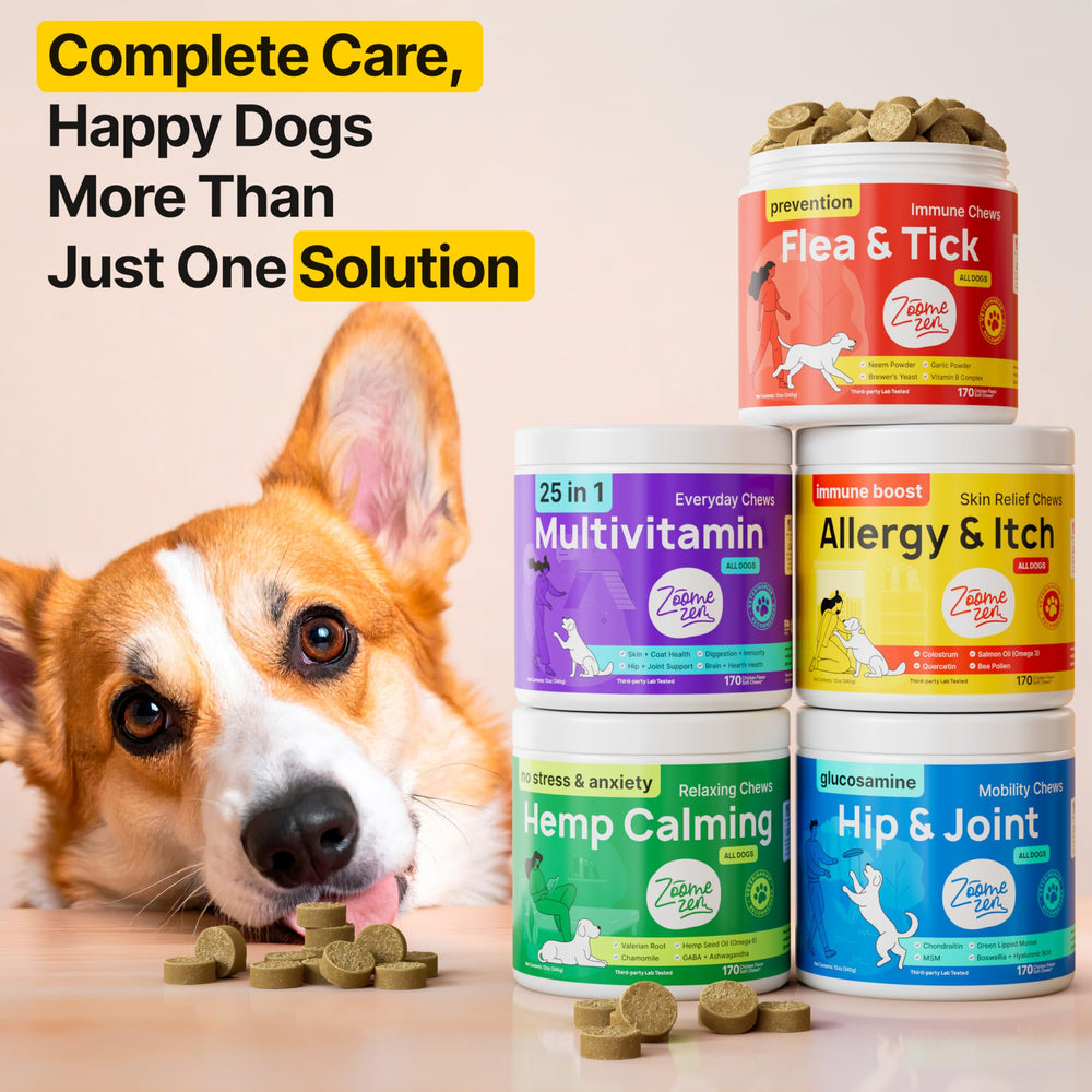 ZOOMEZEN bottle with dog illustrates convenient at-home flea prevention routine.