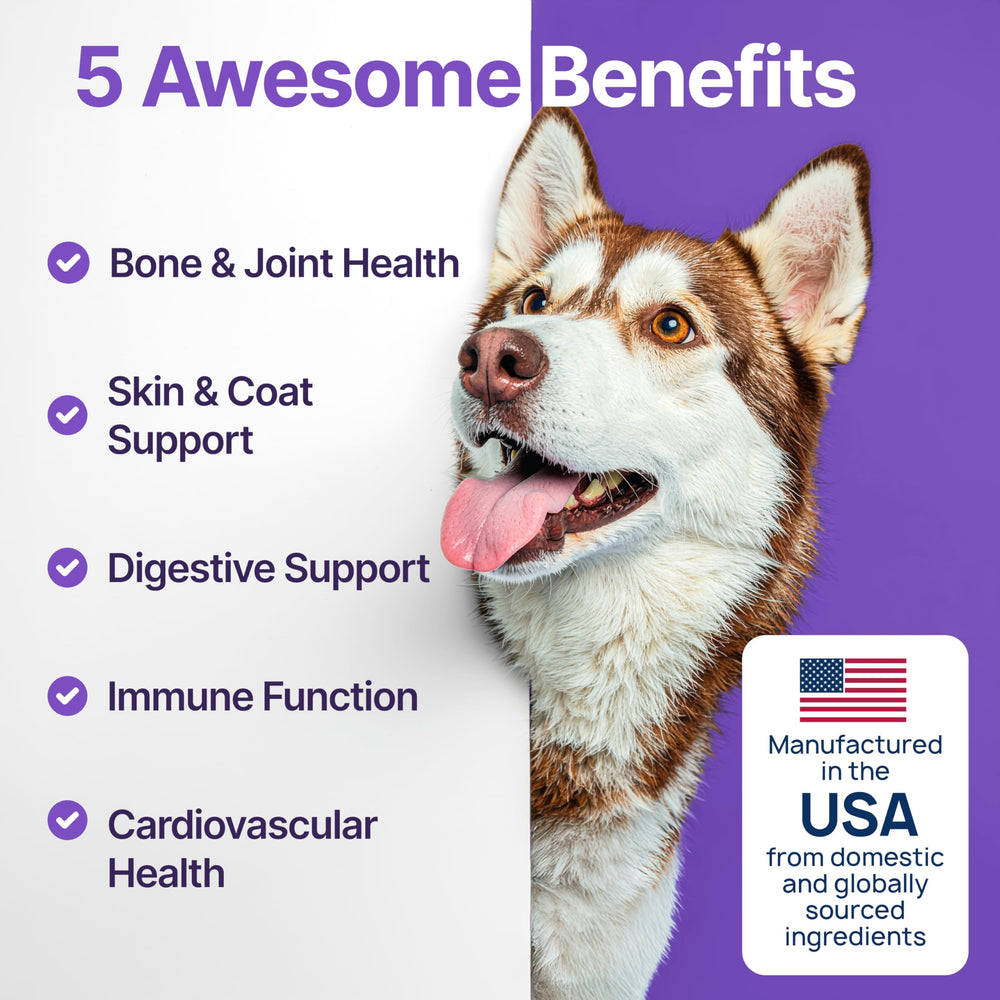 ZOOMEZEN chews shown for easy daily dosing and tasty flavor.