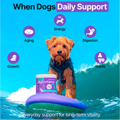 ZOOMEZEN salmon oil imagery emphasizes a glossy coat and healthy skin.