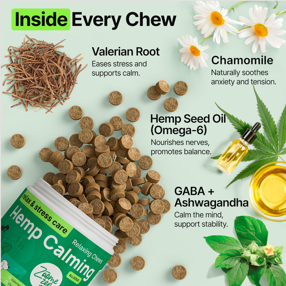 ZOOMEZEN dog calming chews dog taking chew for steady mood