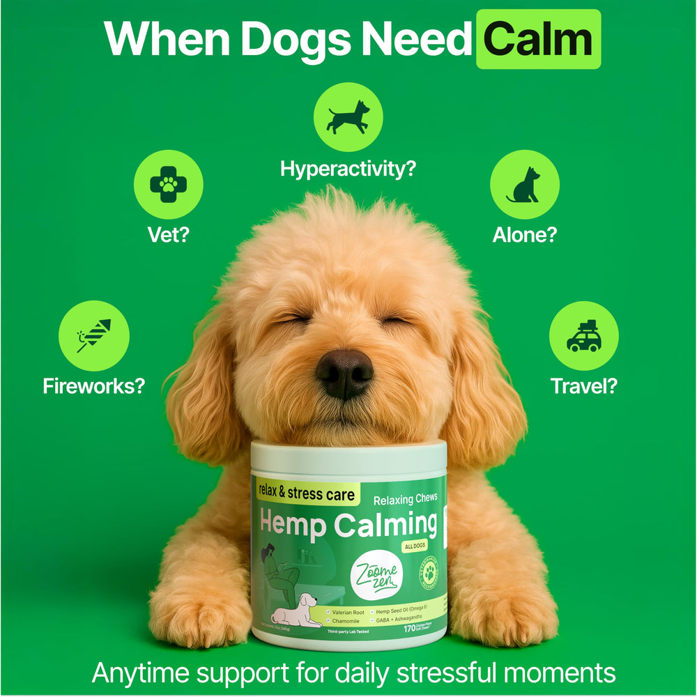 ZOOMEZEN packaging and dog companion image showing ready-to-serve calming treats