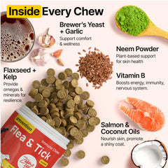 ZOOMEZEN soft chews texture view highlights gentle, dog-friendly daily support.