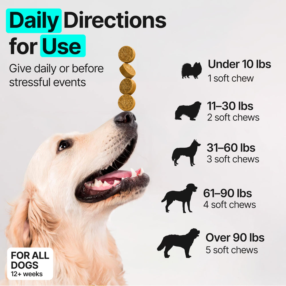 ZOOMEZEN USA made facility label communicates vet-formulated quality.
