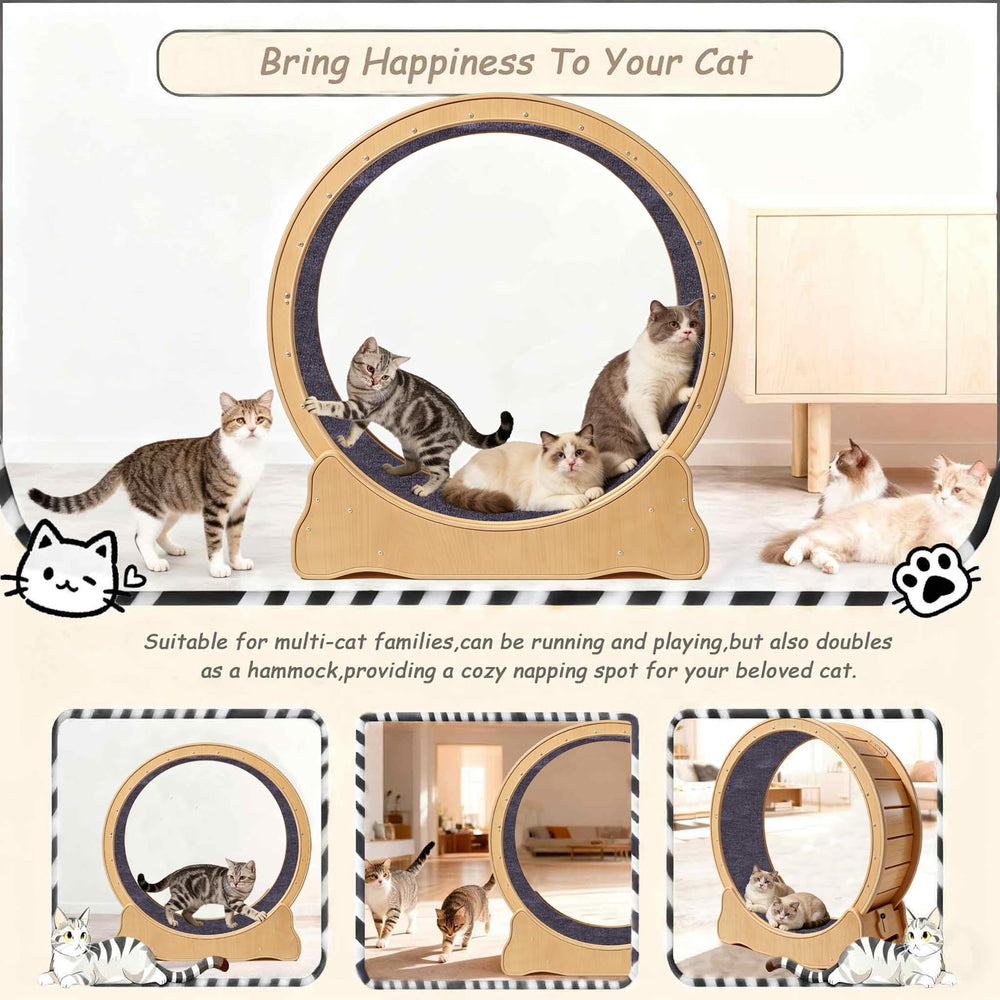 ZooVibe cat exercise wheel in living room setup fits family spaces for indoor workouts.