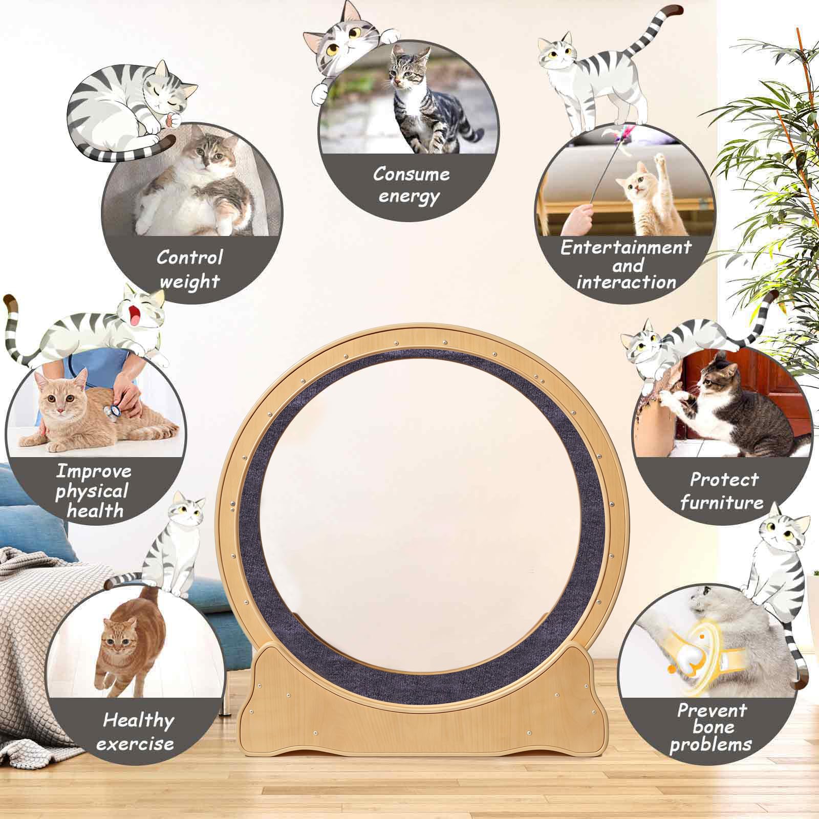 ZooVibe wooden design highlights durable, pet-friendly construction for stylish homes.