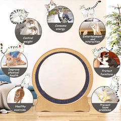 ZooVibe wooden design highlights durable, pet-friendly construction for stylish homes.