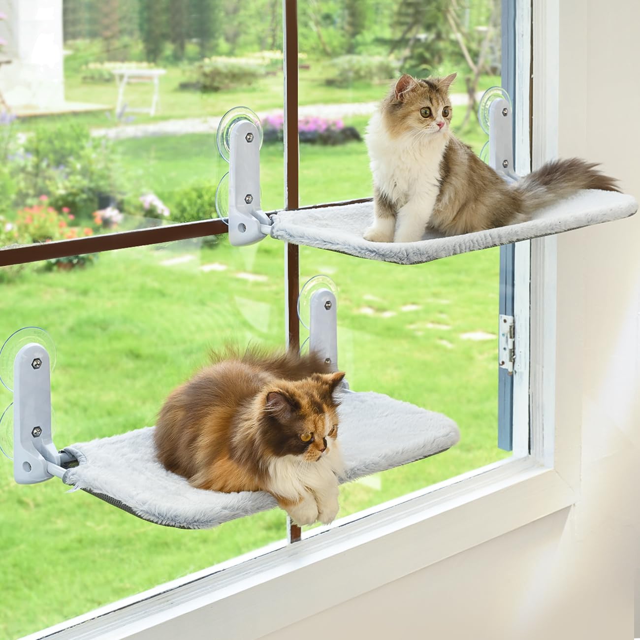 Zoratoo cat window perch foldable frame enables cat sunbathing and shared views