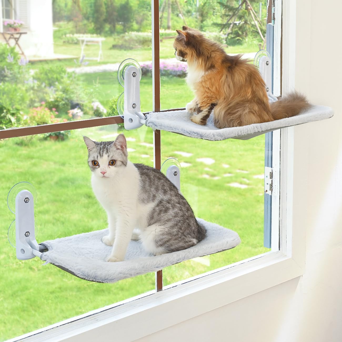 Zoratoo cordless-braced-frame perch stays steady for two cats viewing window.