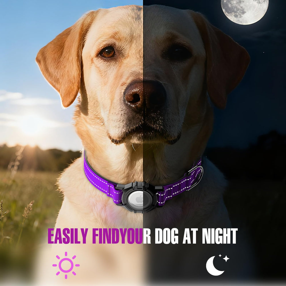 ZOWPET AirTag dog collar purple XL airtag-slot inside demonstrates seamless integration.