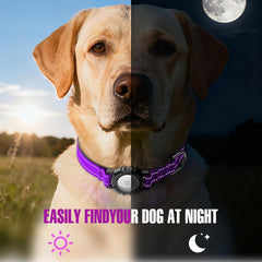 ZOWPET AirTag dog collar purple XL airtag-slot inside demonstrates seamless integration.