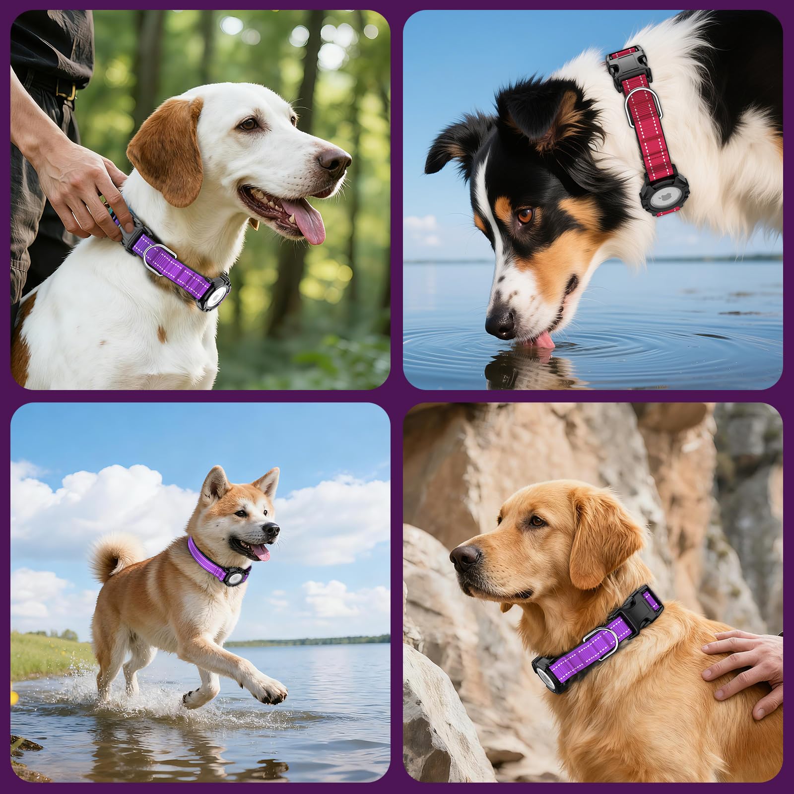 ZOWPET AirTag dog collar purple XL 1000D nylon texture signals ruggedness.