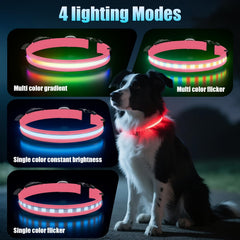 ZOWPET LED collar features 360-degree glow for maximum nighttime visibility.