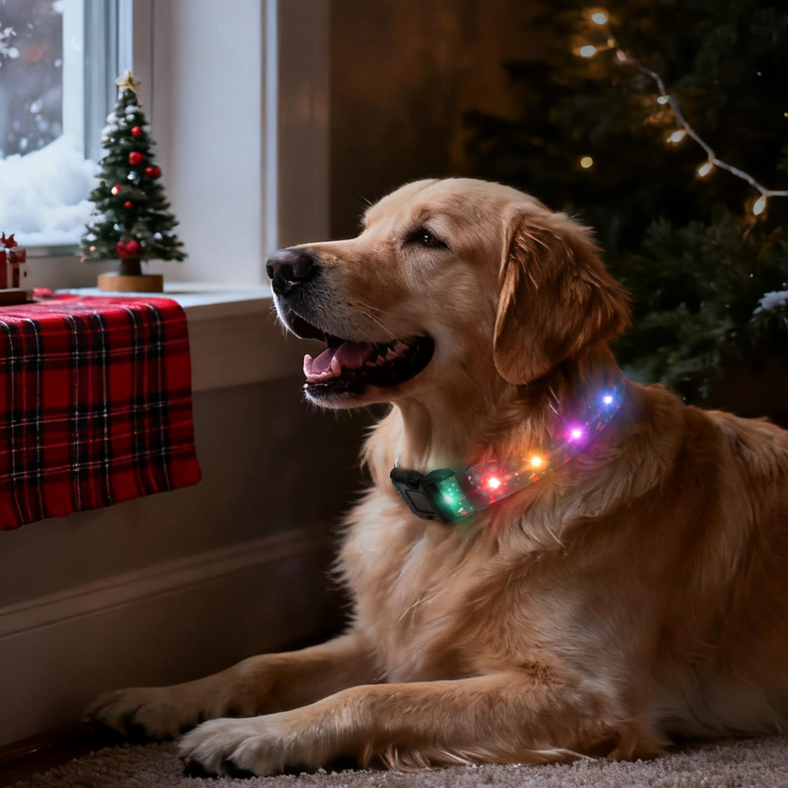 ZOWPET LED dog collar night-walk glow improves nighttime visibility for medium and large dogs.