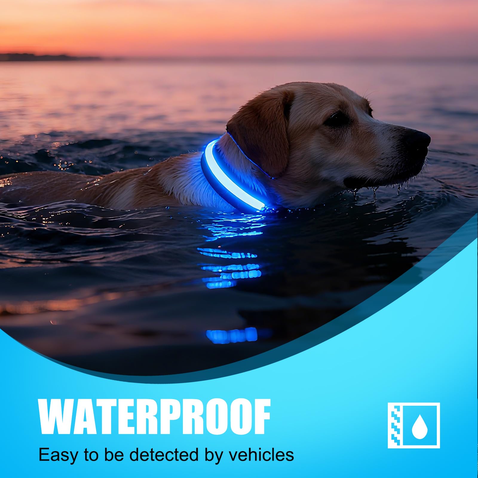 ZOWPET LED dog collar side view demonstrating extended visibility for evening strolls.