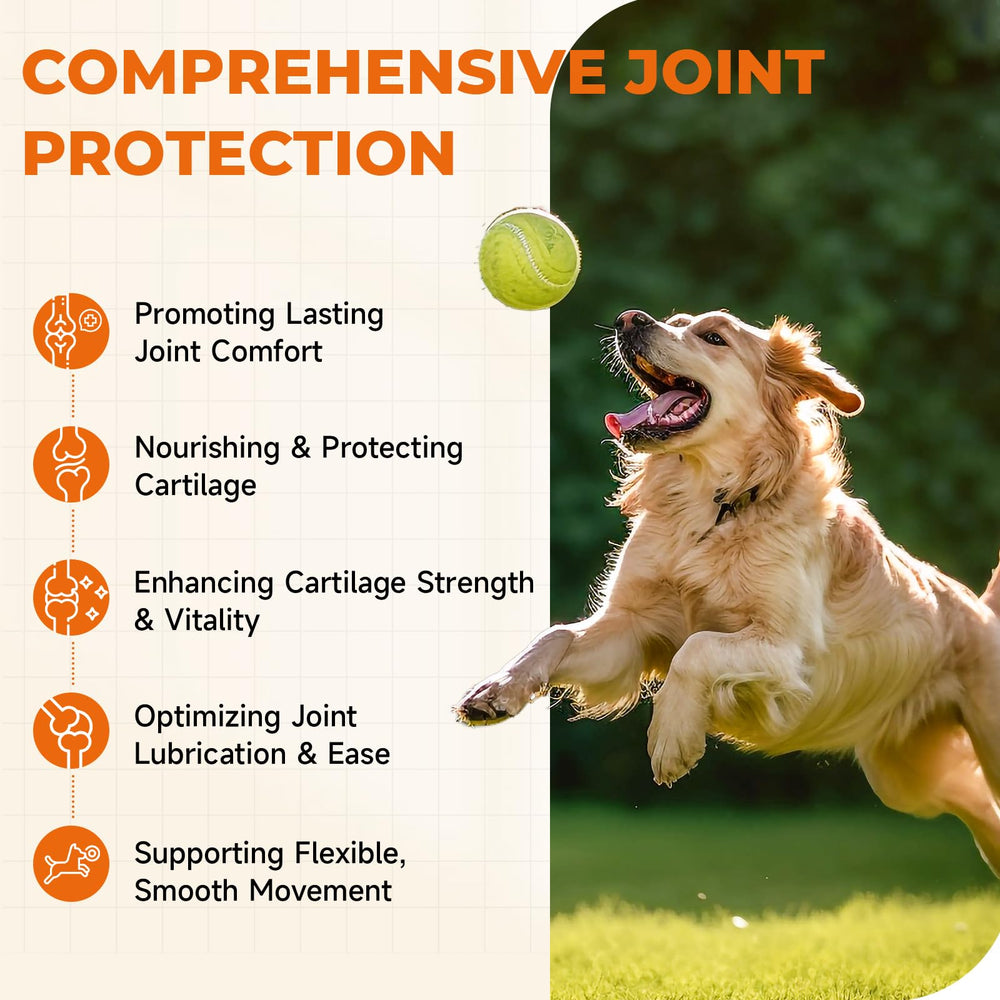 Zozdal Joint Supplement for Dogs chondroitin section emphasizes cartilage support for comfort.