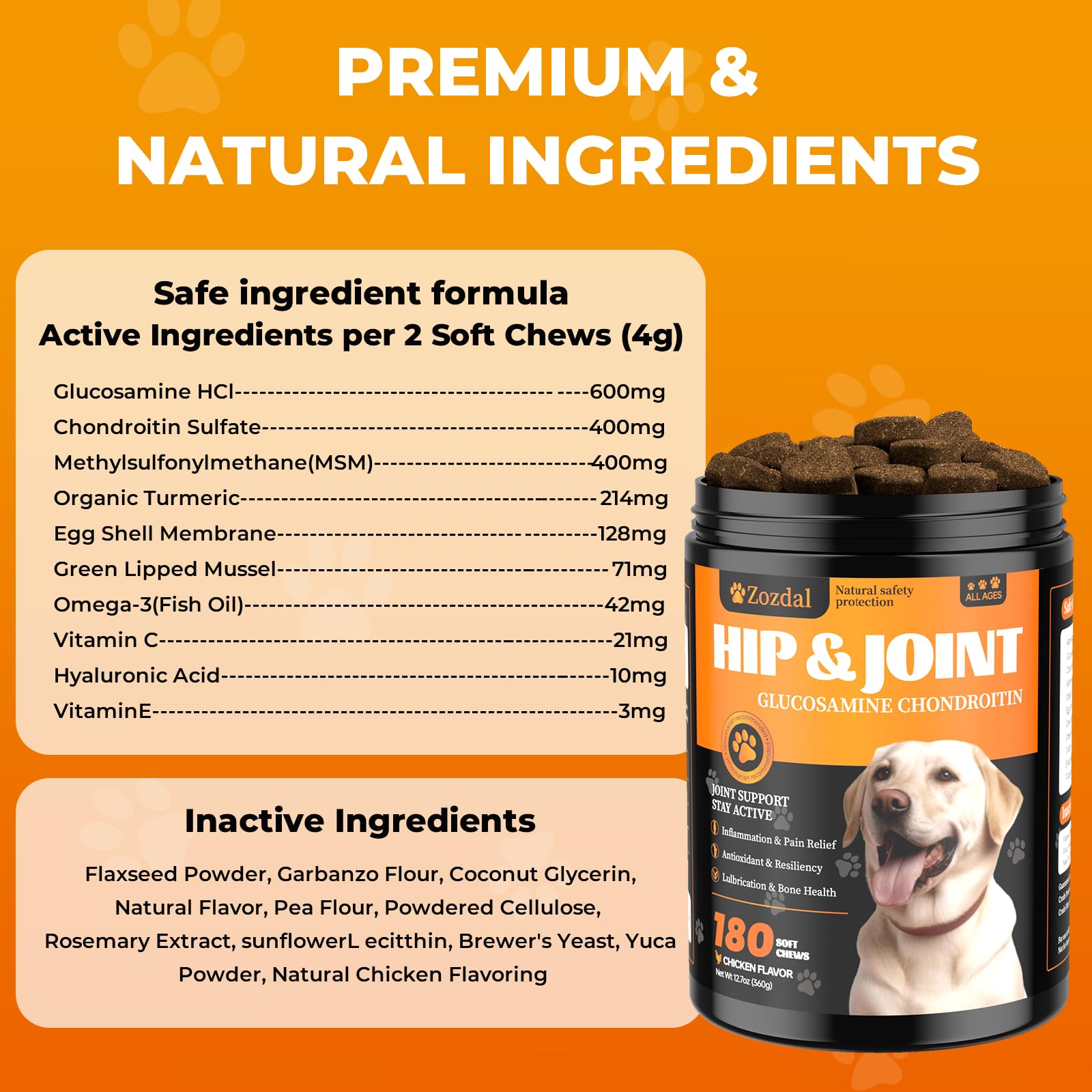 Zozdal Joint Supplement for Dogs senior walks image suggests active aging.