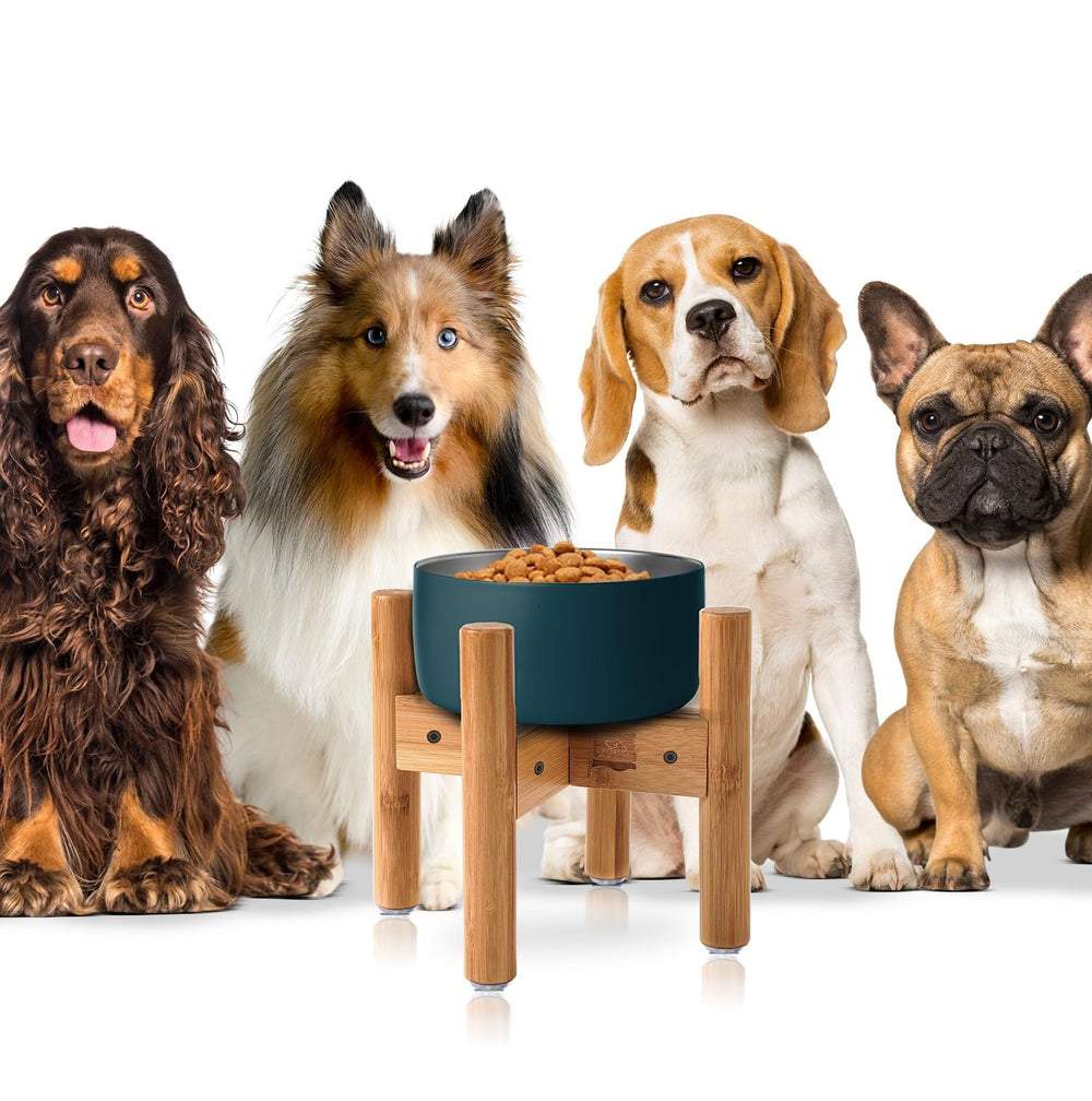 ZPirates stand compatible with water bowls and fountains for mixed meals.