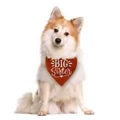 ZPPRJF Big Sister Bandana dark orange on dog side view for celebrations.