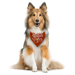 ZPPRJF Big Sister Bandana dark orange packaging with care guidance.