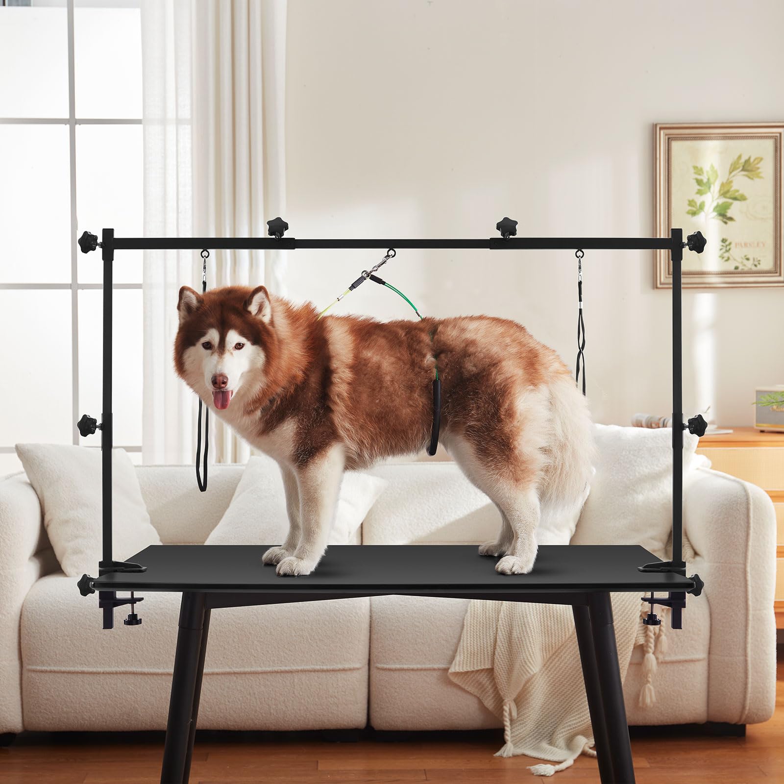 ZPVP compatible with various grooming tasks like trimming and bathing.