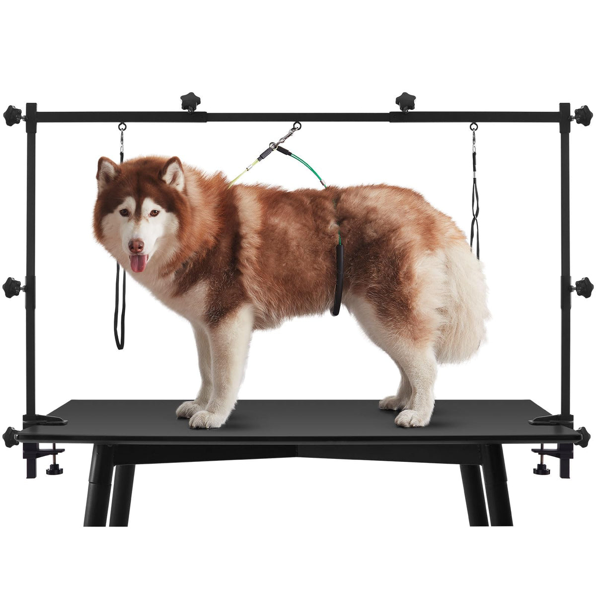 ZPVP dog grooming arm height adjustment for versatile table setup and safe handling.