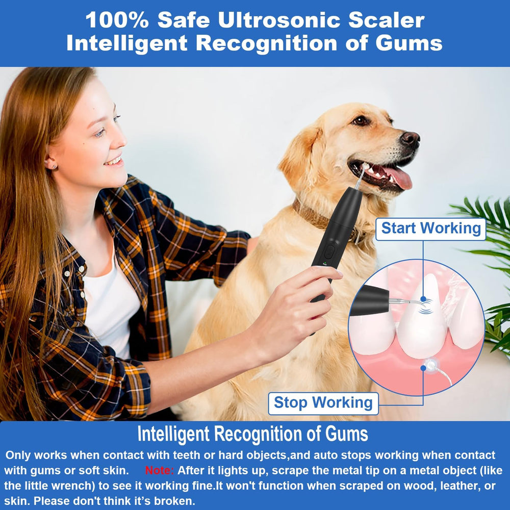ZREVSB dog teeth cleaning kit light on highlights safe, low-noise brushing during sessions.