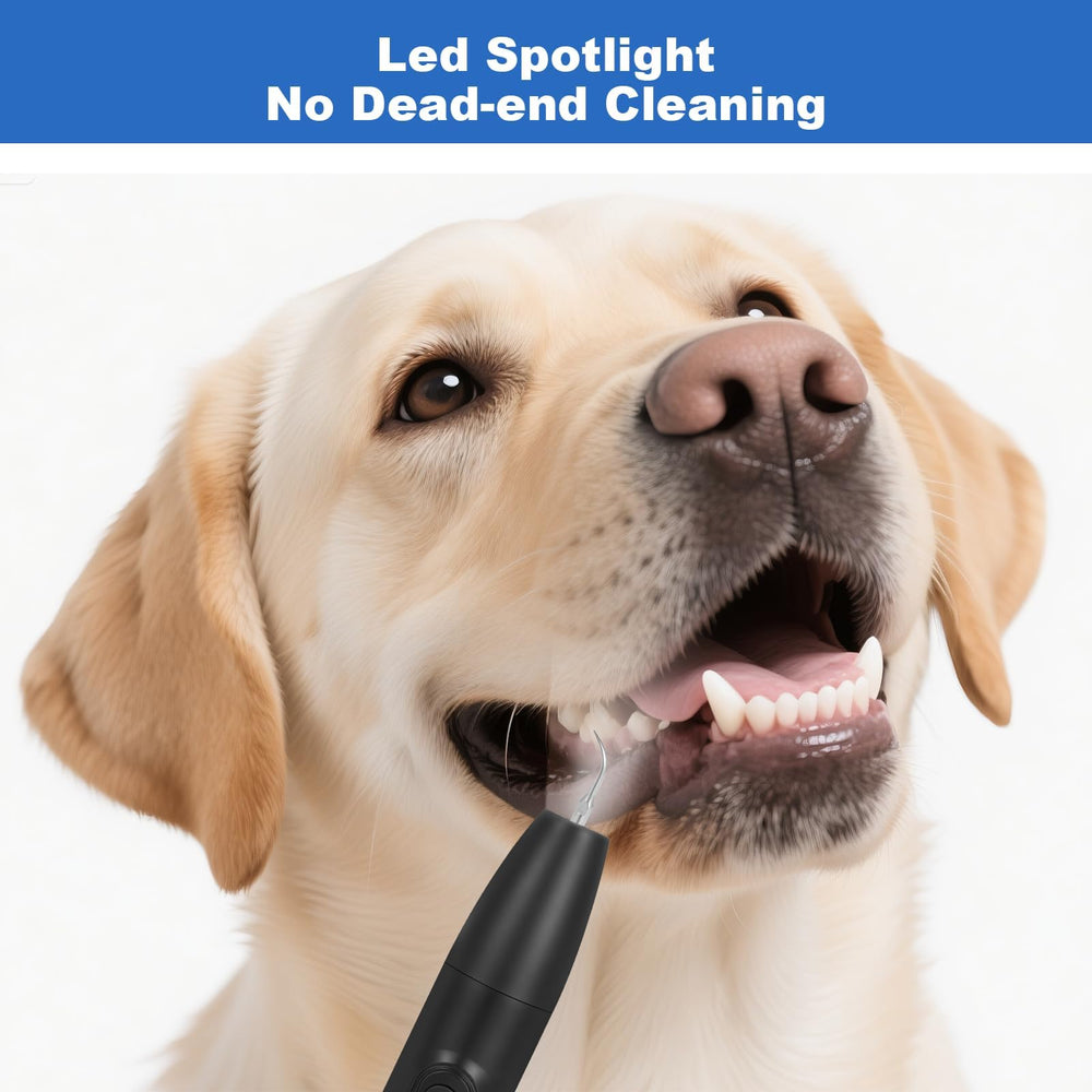 ZREVSB replacement heads and probe image highlights complete kit for professional-level care at home.