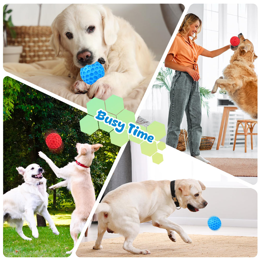 ZRIFAQESW interactive ball promotes chasing and training fun