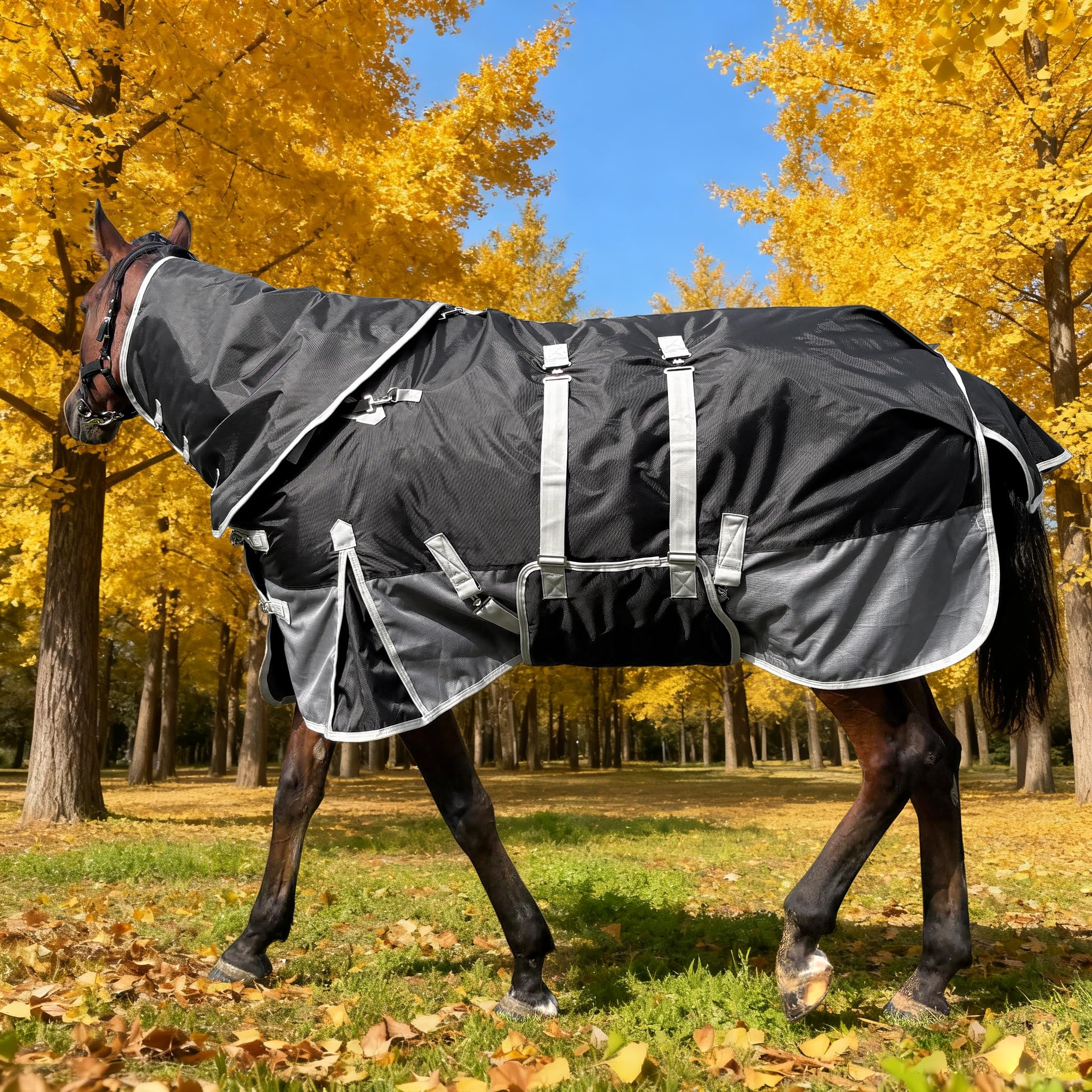 ZRSCHYG horse blanket front view showing water-resistant 1200D fabric for damp weather