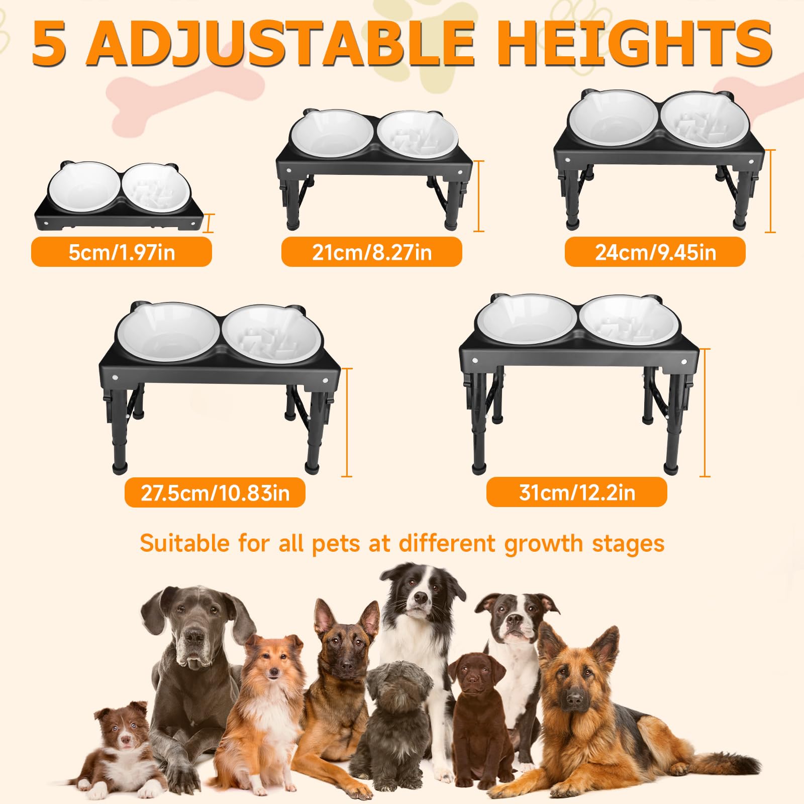 ZTMT raised dog bowls for food and water promote comfortable eating posture.