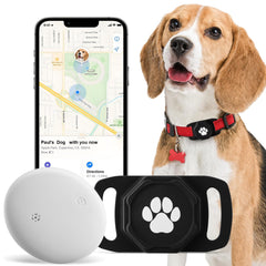 Ztobny Smart Pet Tracker on collar attachment for quick location updates