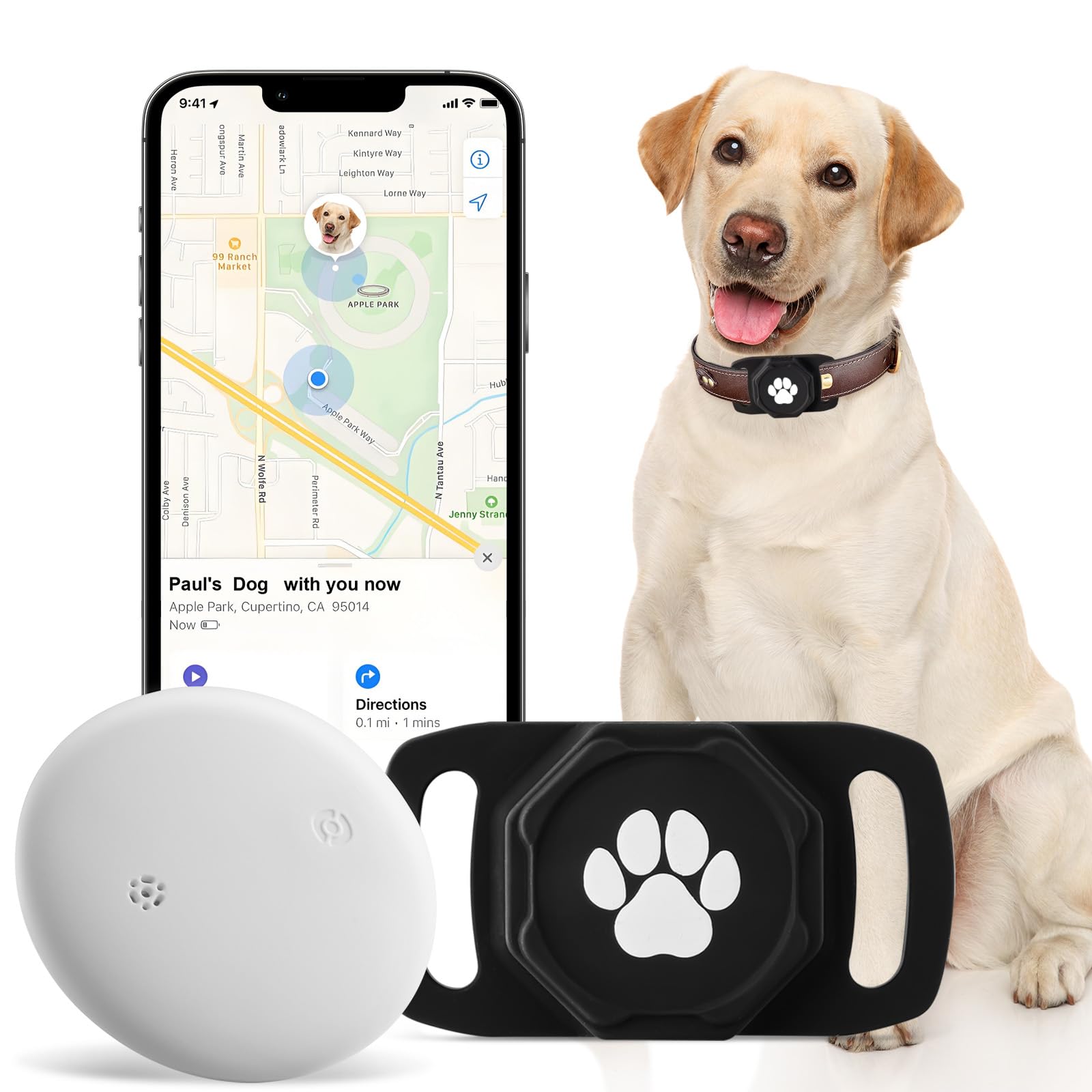 Ztobny smart pet tracker on collar provides real-time location updates for quick peace of mind.